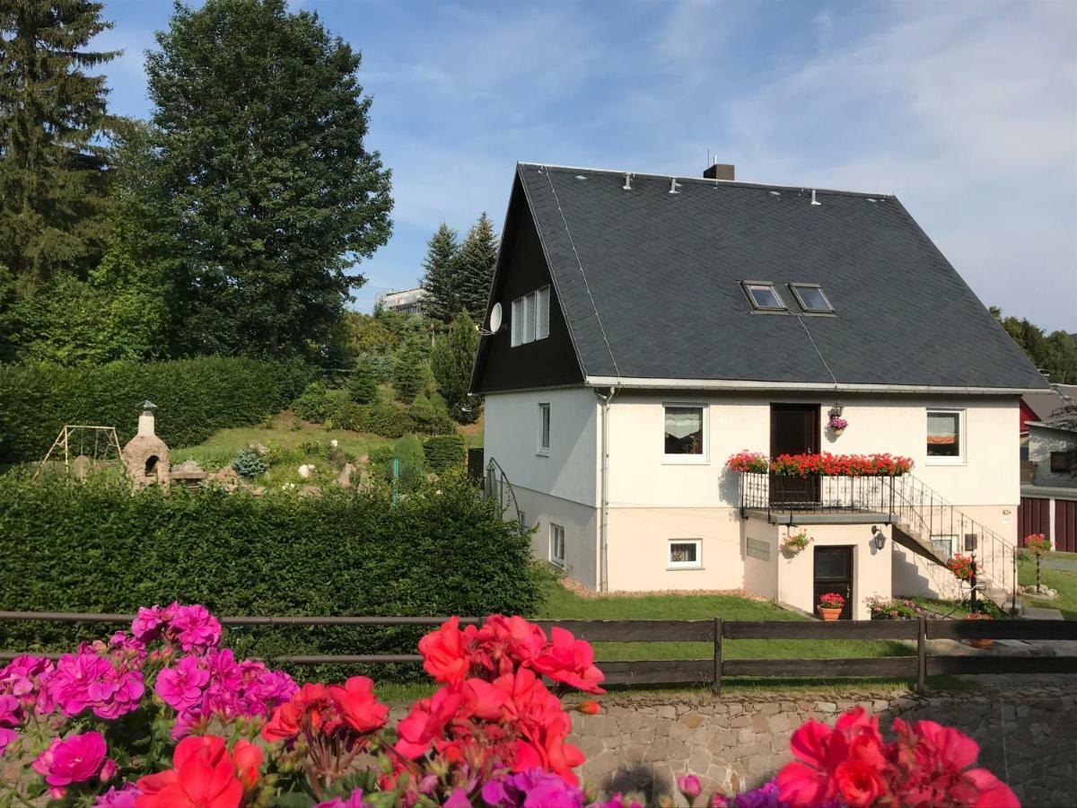 Ferienwohnung Grieser Geising Екстериор снимка